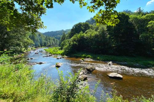 a river with rocks and trees on the side at Tiny-House in Paradise - Maringotka v Raji in Turnov