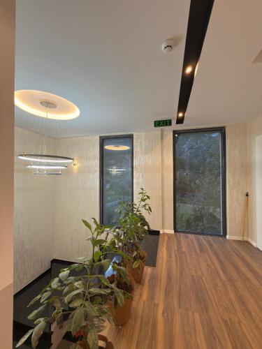 a living room with potted plants and windows at Kulla Emini Valbone 2025 in Valbonë