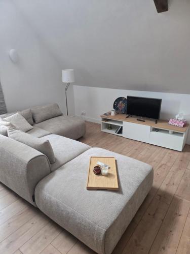 a living room with a couch and a flat screen tv at Duplex sous les toits d'Alsace in Dannemarie