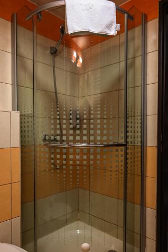 a shower with a glass door in a bathroom at Hotel Opal Superior - Adults Only in Gyöngyös