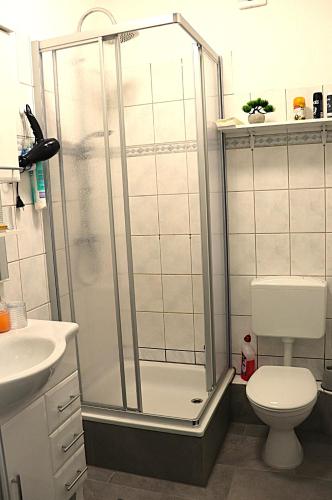 a bathroom with a shower with a toilet and a sink at Ferienwohnung Apartment am Klosterhof Aschersleben in Aschersleben