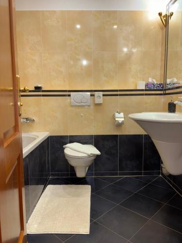 a bathroom with a toilet and a sink at Penzion 77 - Garni in Pezinok
