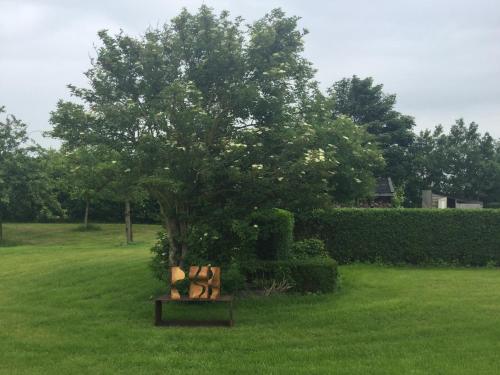 Taman di luar Boerderij de Waard