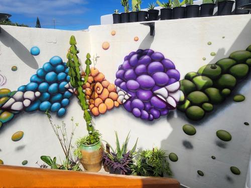 Un jardín fuera de Salvia BnB, Habitaciones con Banos Privados