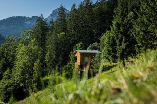 a small house in the middle of a field with trees at Tannerhof - Mein Versteck in den Bergen in Bayrischzell