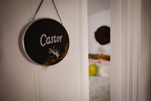 Sijil, anugerah, tanda atau dokumen lain yang dipamerkan di Chambre du Castor-Qapit-Beaver