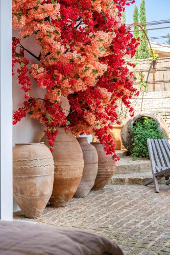 a group of large pots filled with red flowers at Secret d'Uzès - Le Duché - Piscine chauffée et Jacuzzi in Uzès