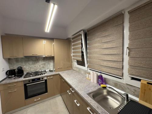 ブカレストにあるZenith Central Address Apartment with Parkingのシンクとコンロのあるキッチン トップオーブン