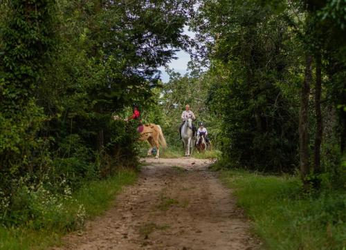 a group of people riding horses on a dirt road at Le Bosquet des Dômes - Panorama des Puys à Cheval in Châtel-Guyon