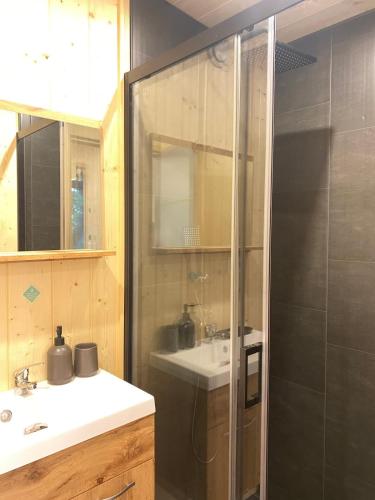 a bathroom with a sink and a shower at Le Bosquet des Dômes - Panorama des Puys à Cheval in Châtel-Guyon