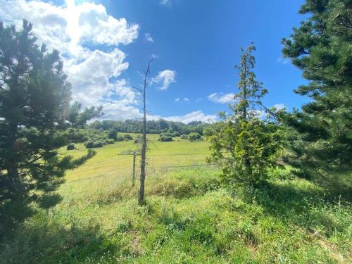 a view of a field with trees and grass at Le Bosquet des Dômes - Panorama des Puys à Cheval in Châtel-Guyon