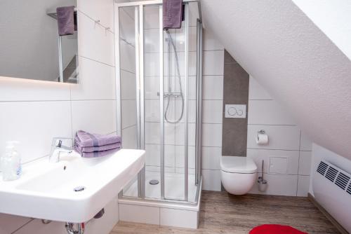 a bathroom with a shower and a sink and a toilet at Seewind in Krummhörn