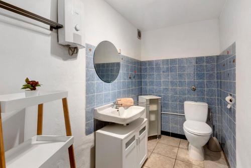 a bathroom with a toilet and a sink at Ferienhaus Zum Burgfried in Neuerburg