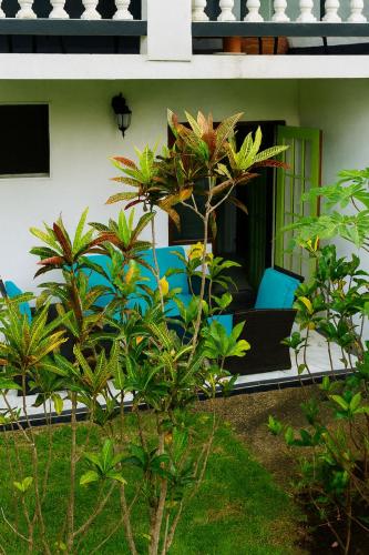 a house with blue chairs and trees in a yard at Yellow Doors - Tranquil comfortable retreat in Saint James