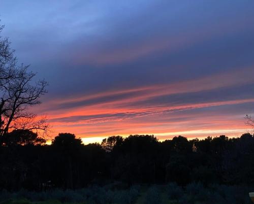 a sunset over a field with trees in the background at Lodge Grand Confort en Nature - Salle de bain italienne - 10 min A7 in Mondragon