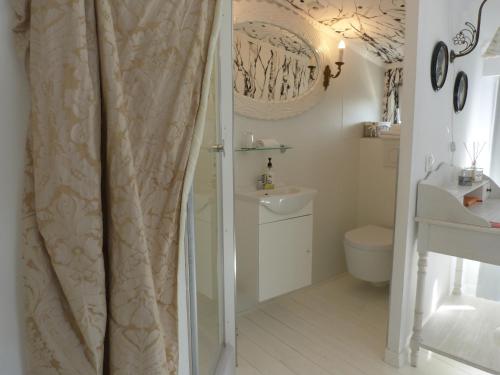 a bathroom with a shower curtain and a toilet at Söruper Hof in Sörup