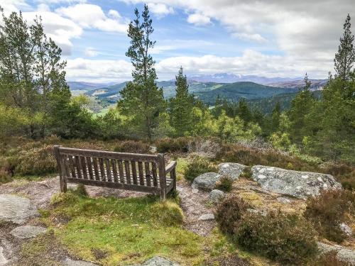 un banco de madera sentado en la cima de una montaña en Pine Tree Cottage - Uk45925, en Ballater