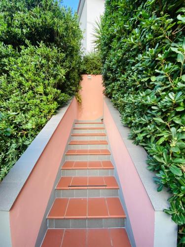 a walkway lined with green plants in a building at Hotel Ca' De Berna in Balestrino