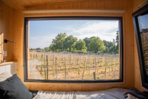 a window in a room with a view of a field at Lodge en Nature - 30 min Saint-Emilion - Salle de bain à l'italienne in Mouliets-et-Villemartin