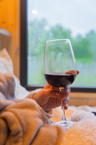a person holding a glass of red wine at Lodge en Nature - 30 min Saint-Emilion - Salle de bain à l'italienne in Mouliets-et-Villemartin