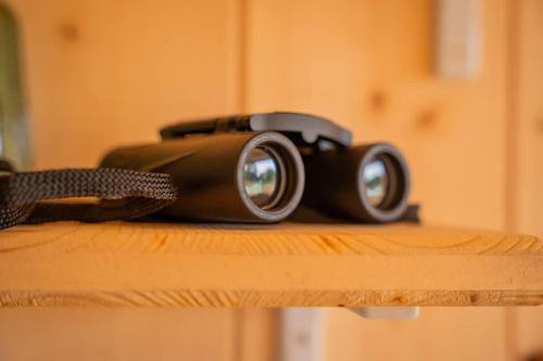 a camera sitting on top of a wooden table at Lodge en Nature - 30 min Saint-Emilion - Salle de bain à l'italienne in Mouliets-et-Villemartin