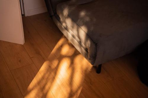 a shadow of a bed on a wooden floor at Lodge en Nature - 30 min Saint-Emilion - Salle de bain à l'italienne in Mouliets-et-Villemartin
