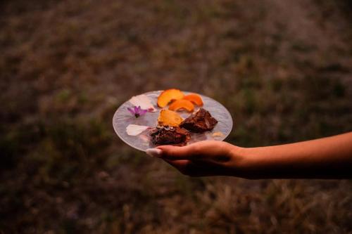a person holding a piece of cake on a paper plate at Lodge en Nature - 30 min Saint-Emilion - Salle de bain à l'italienne in Mouliets-et-Villemartin