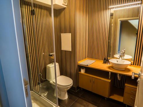 a bathroom with a toilet and a sink and a mirror at Venti club B15 in Sofia