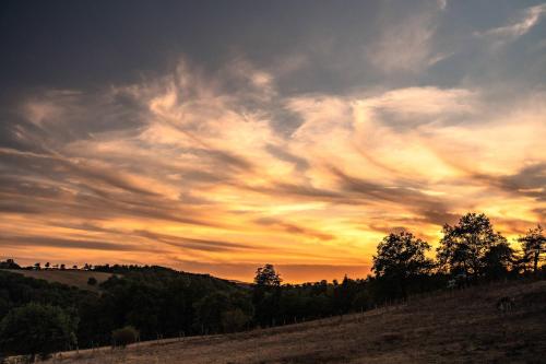 PinayにあるLodge Grand Confort - 1h de Lyon - Vue sur Loireの木雲の夕焼け