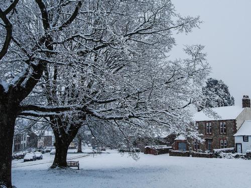 a snow covered tree with a bench under it at The Laburnums in Askham