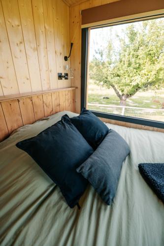 a bed with blue pillows in a room with a window at Tiny-House à 1h20 de Lyon - Salle de bain italienne - Lit Grand confort in Bruailles