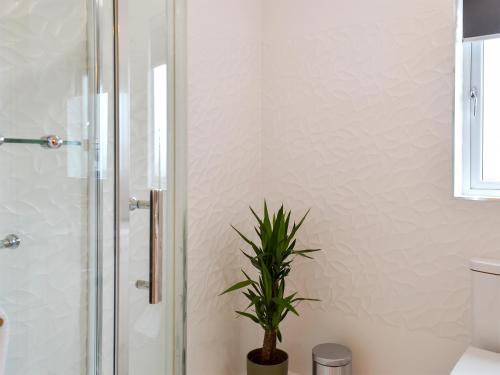 a bathroom with a shower and a potted plant at Wheatfield House in Kilmaurs