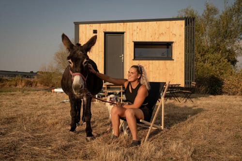 a woman sitting in a chair petting a horse at Homnest - L'Indiana Ranch - 20 min de Vichy in Espinasse-Vozelle