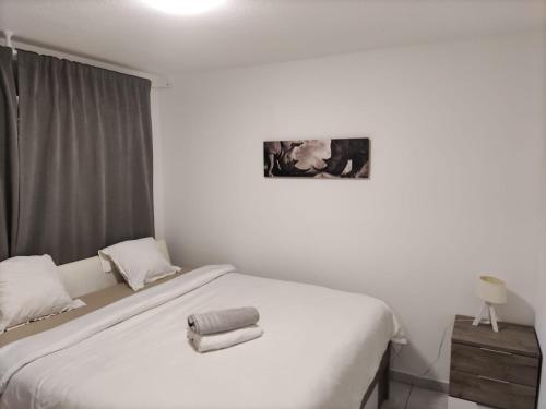 a bedroom with two beds and a picture on the wall at T2 5 Lys - centre ville, parking privé in Saint-Louis