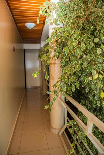 Gallery image of Fanad Hotel in Gisenyi