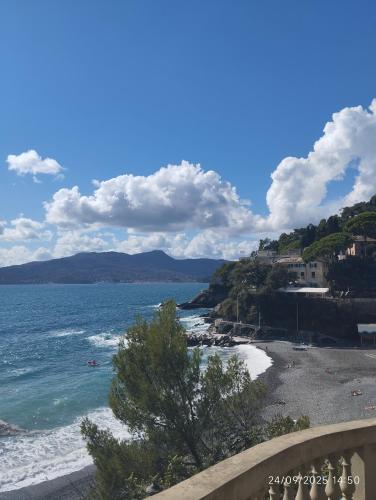 a view of a beach with the ocean at Cielmarino in Zoagli