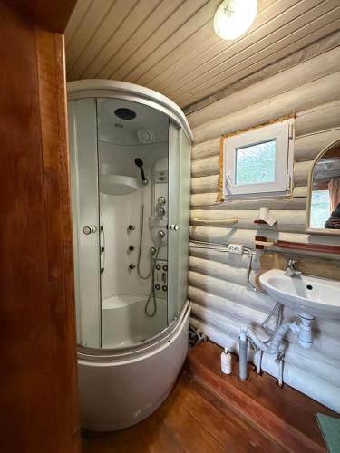 a bathroom with a shower and a sink at Під Горбком in Bukovets