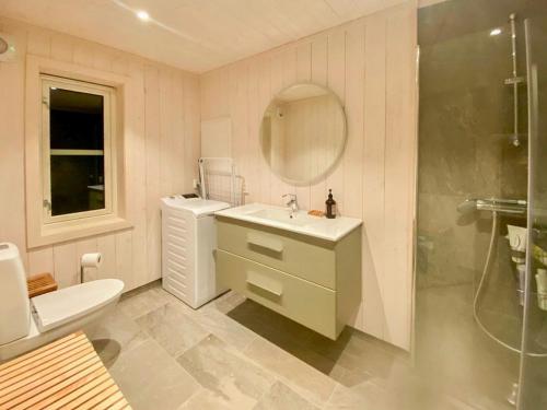 a bathroom with a sink and a toilet and a mirror at Family Cabin With Views In Lygnalia in Jaren