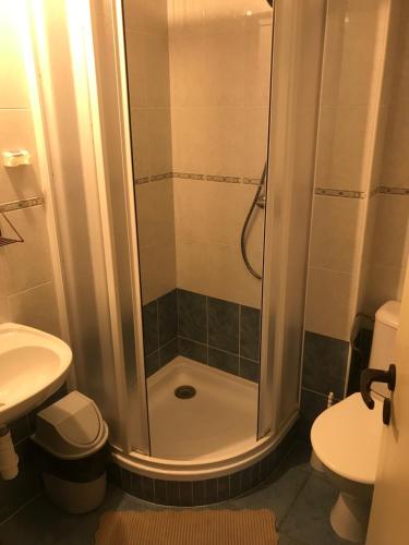 a bathroom with a shower with a sink and a toilet at horská chalupa U lyžaře in Benecko