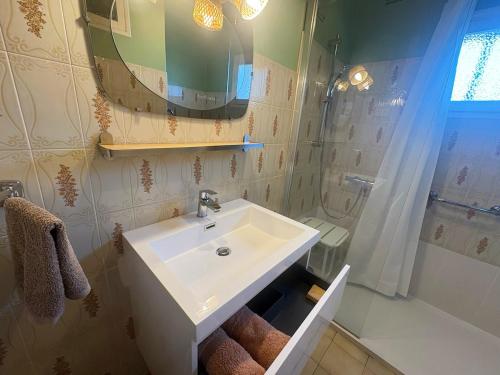 a bathroom with a sink and a shower at Chez Micheline et Gilbert in Villebernier