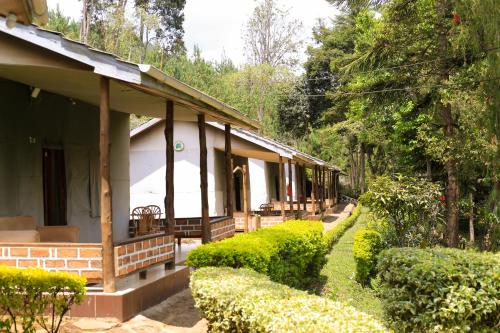 a house in the woods with bushes and trees at LUSHOTO EXECUTIVE LODGE in Lushoto