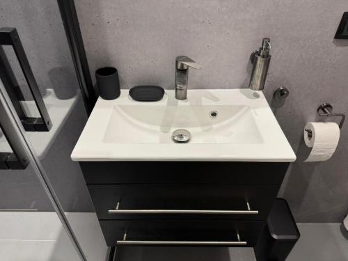 a bathroom with a white sink in a room at Bed and Breakfast Heemraadssingel in Rotterdam