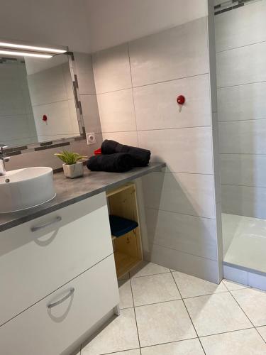 un bagno con lavandino e doccia di Gite du Trefoux logement le Villainois a Villaines-la-Gonais