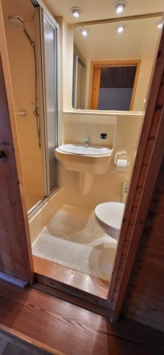 a bathroom with a sink and a toilet at Himmelbauer Apartments in Söbriach