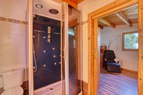a bathroom with a toilet and a glass door at Finca La Charquita in Puerto Naos
