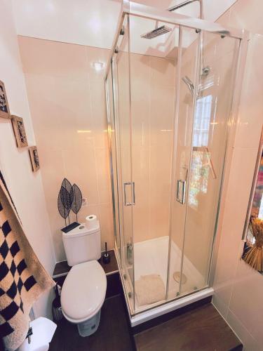 a bathroom with a shower and a toilet at The Old Hunting Lodge at The Talbot Inn in Tenbury