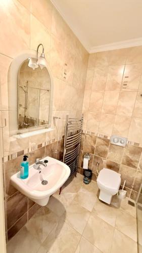 a bathroom with a sink and a toilet at mountain view Villa Zuhal Dalyan in Ortaca