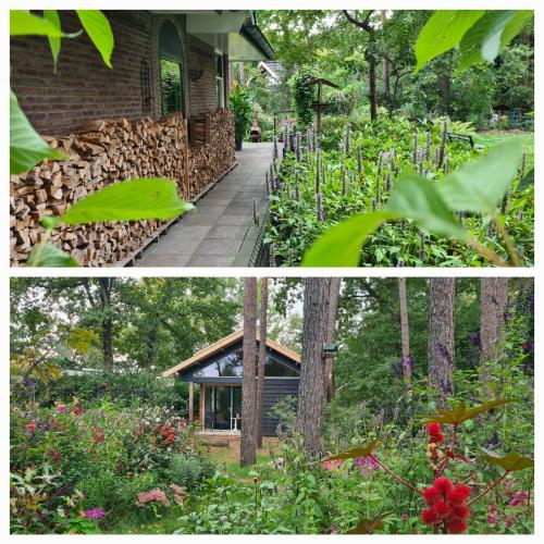 a collage of two pictures of a garden with a building at B&B De Vretberg in Enschede