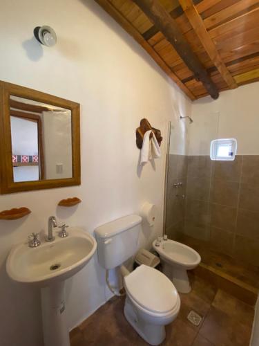 a bathroom with a sink and a toilet and a shower at Hostal Tierra Andina Cafayate in Cafayate