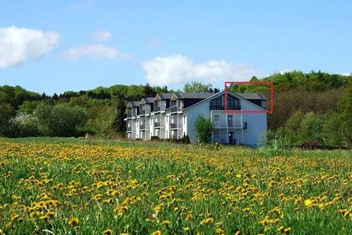 a house in the middle of a field of flowers at Am Grün 15 Fewo 25 in Wittenbeck